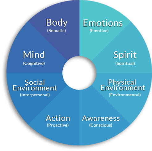 Eight-domain_pie-chart